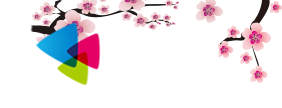 花花小说